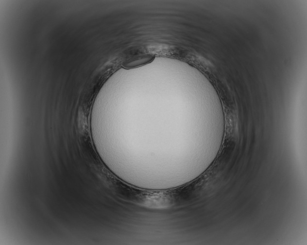 X0000083550705200703021651