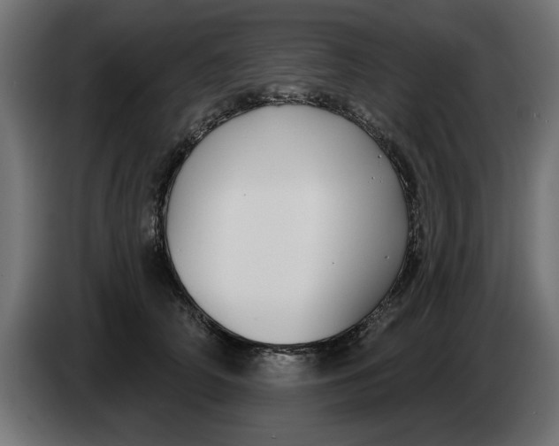 X0000083550706200703021651