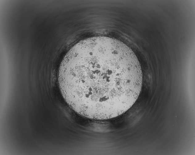 X0000083550707200703021651