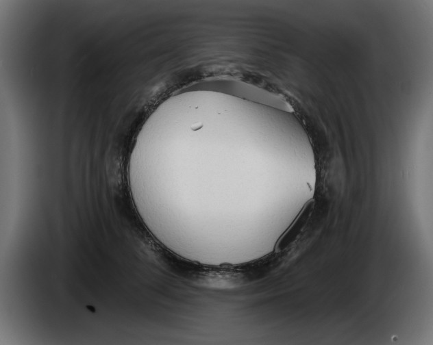 X0000083550708200703021651