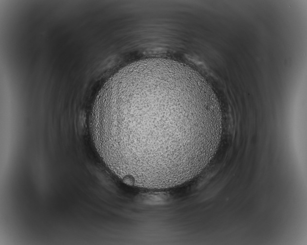 X0000083550711200703021651
