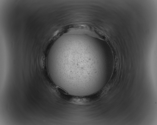 X0000083550712200703021651