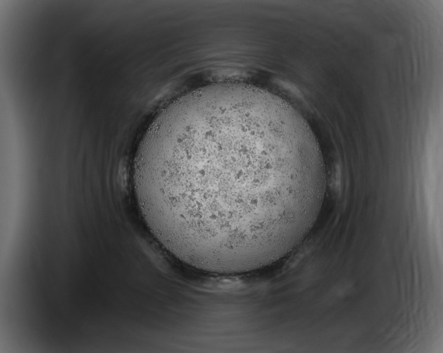 X0000083550715200703021651