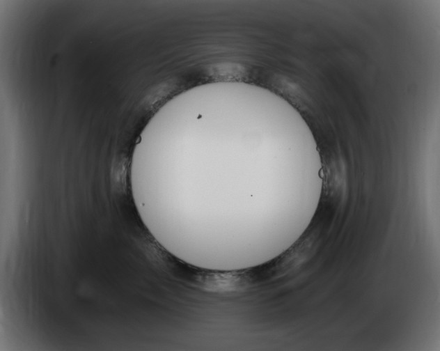 X0000083550717200703021651