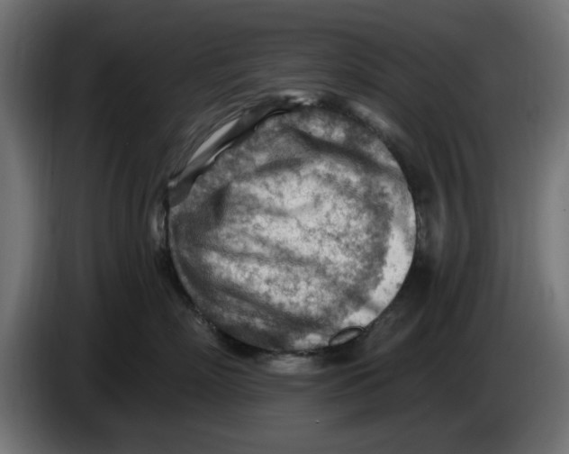 X0000083550718200703021651