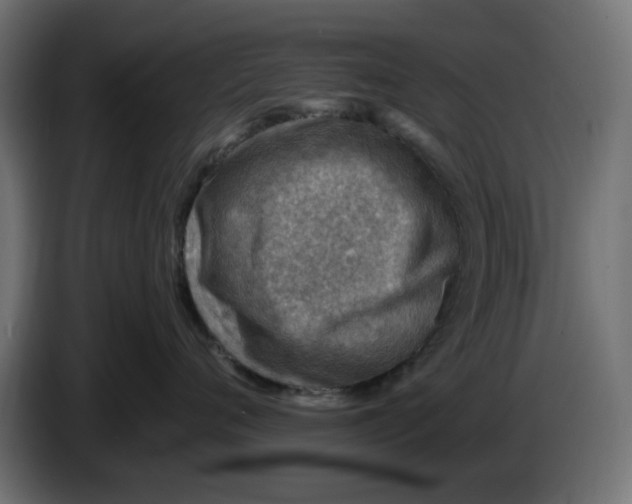 X0000083550720200703021651