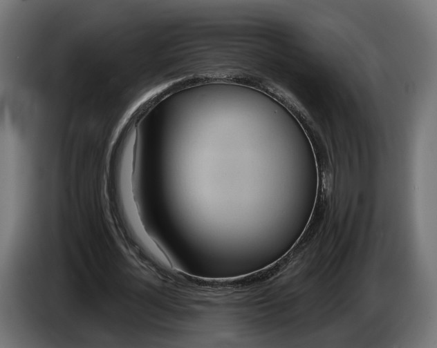 X0000083550724200703021650