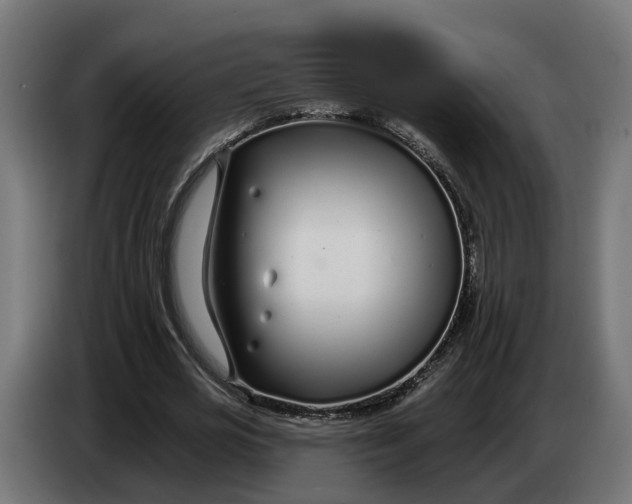 X0000083550725200703021650