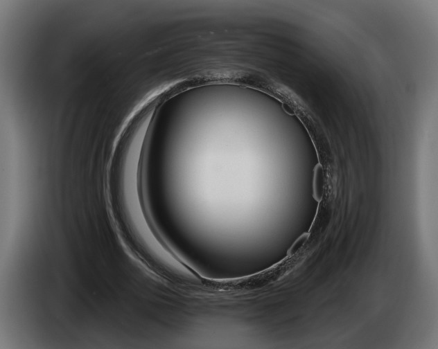 X0000083550726200703021650