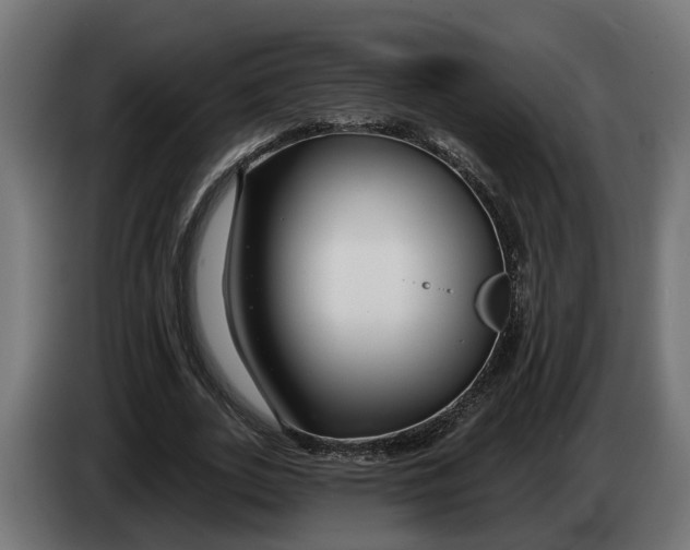 X0000083550727200703021650