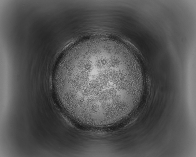 X0000083550729200703021650