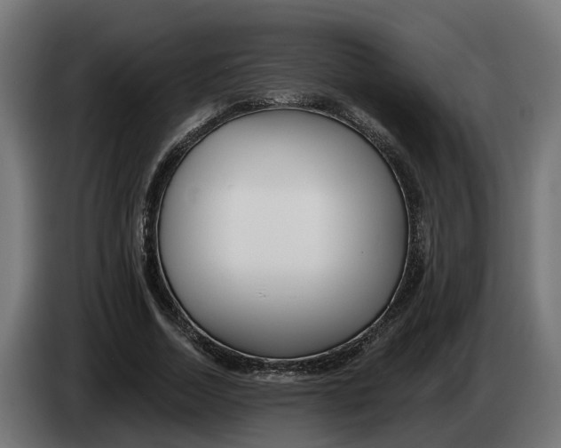 X0000083550730200703021650