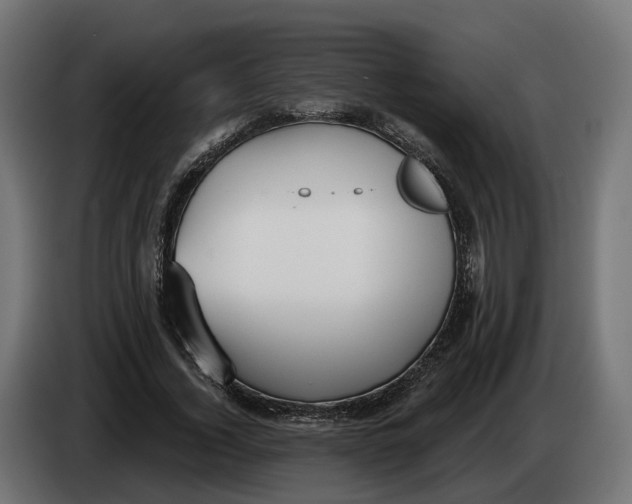 X0000083550732200703021650