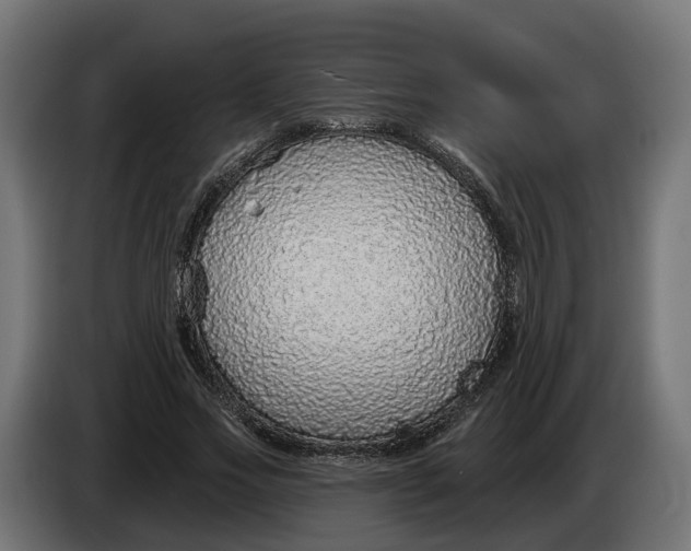 X0000083550733200703021650