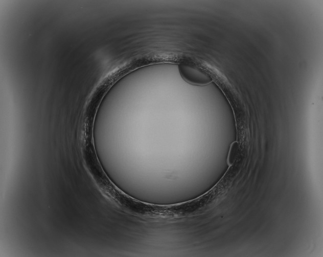 X0000083550736200703021650