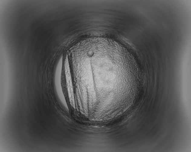 X0000083550737200703021650