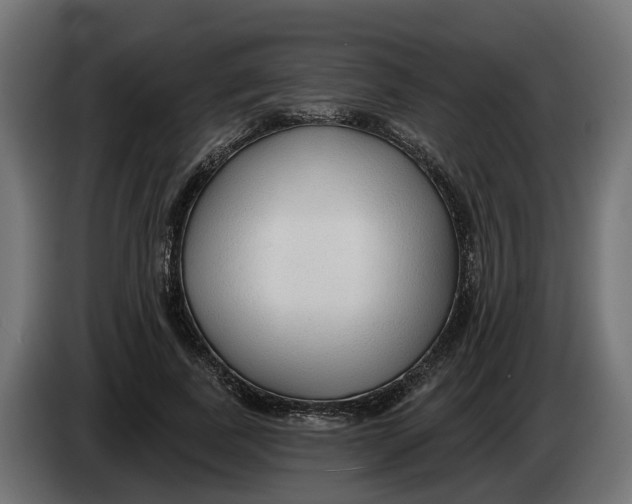 X0000083550739200703021650
