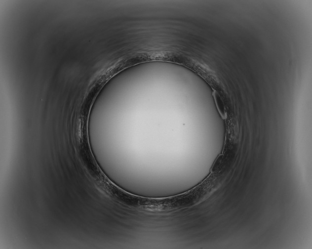 X0000083550740200703021650