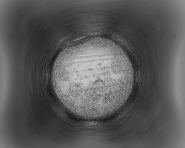 X0000083550741200703021650