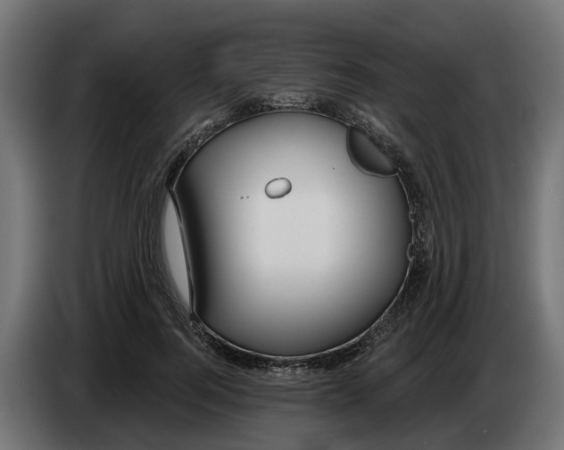 X0000083550744200703021650