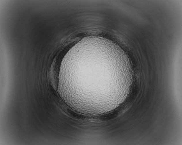 X0000083550745200703021650