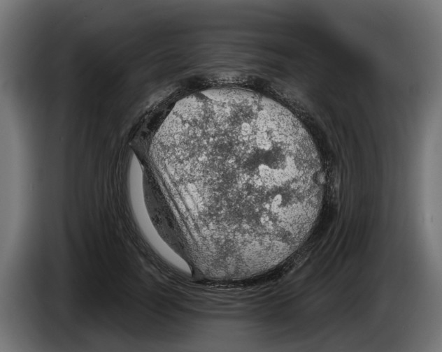 X0000083550746200703021650