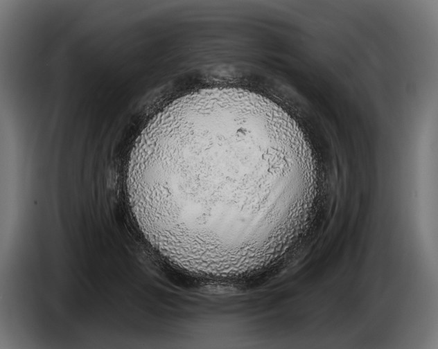 X0000083550749200703021650
