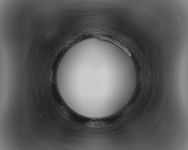 X0000083550752200703021650