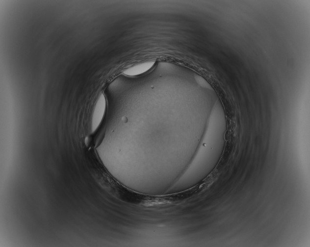 X0000083550754200703021650