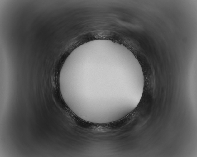 X0000083550755200703021650