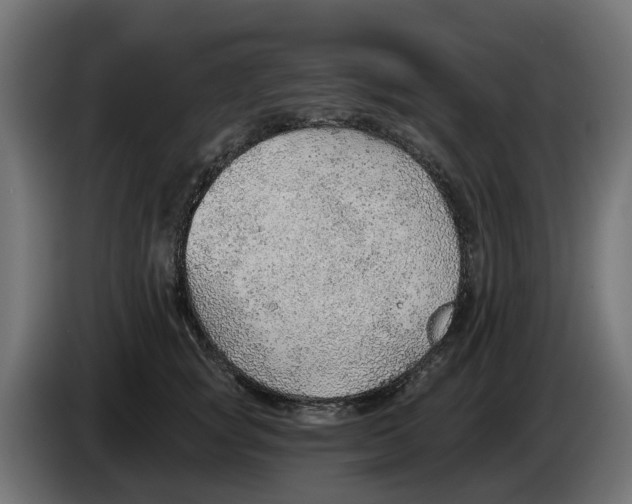 X0000083550757200703021650