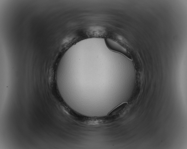 X0000083550760200703021651