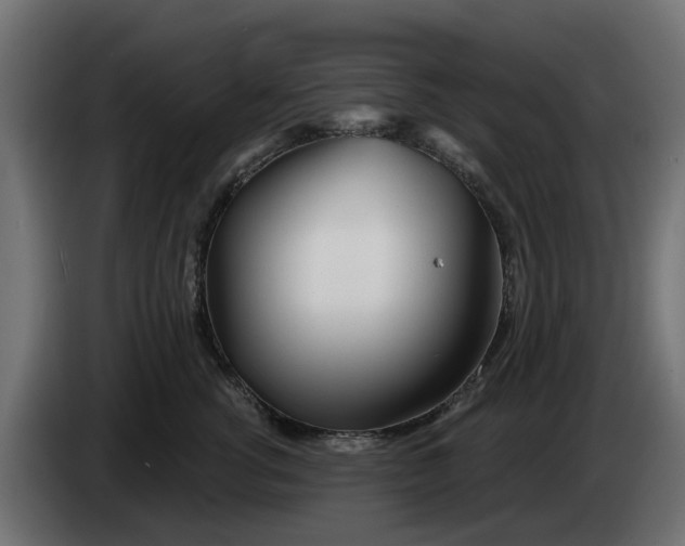 X0000083550762200703021651