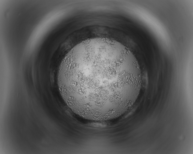 X0000083550765200703021651