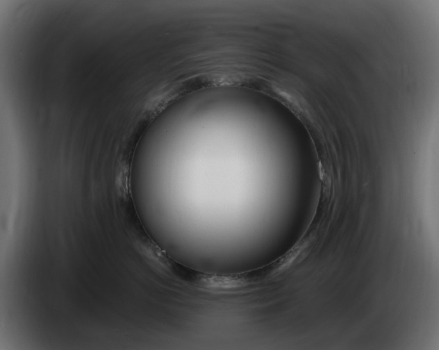 X0000083550766200703021651