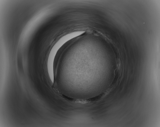 X0000083550767200703021651