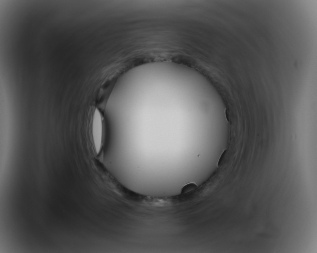 X0000083550768200703021651