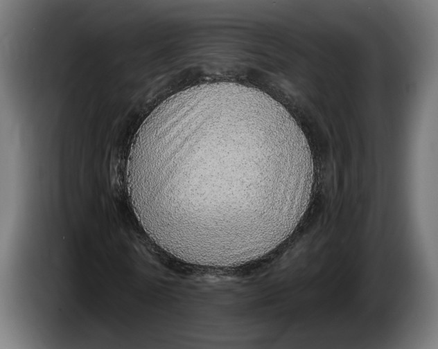 X0000083550770200703021650