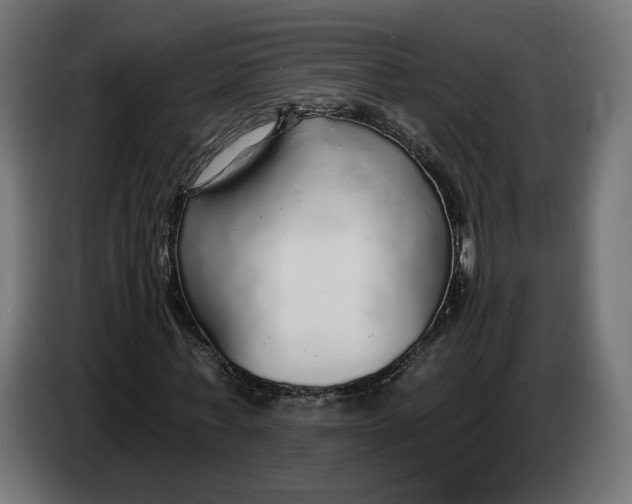 X0000083550771200703021650