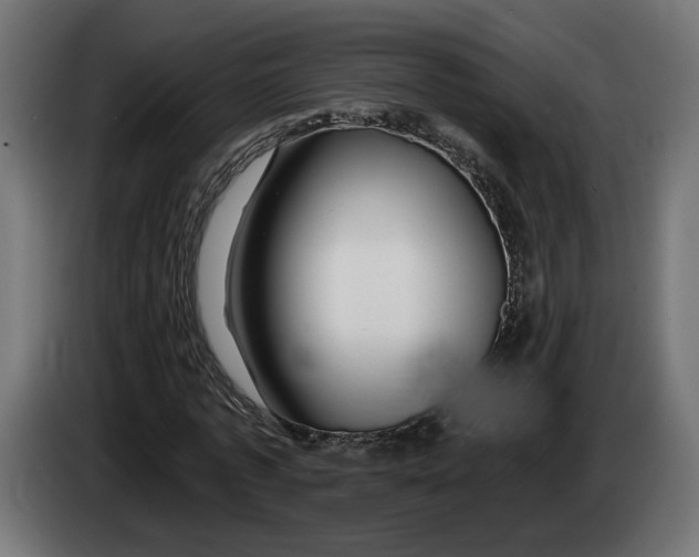 X0000083550773200703021650