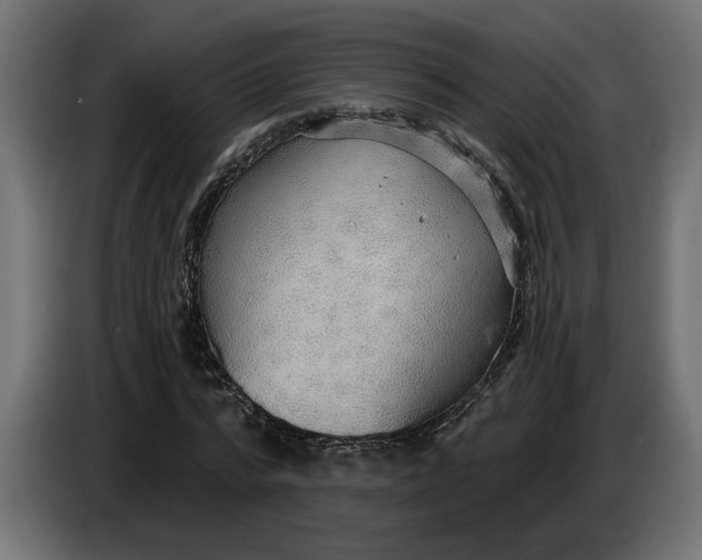 X0000083550776200703021650