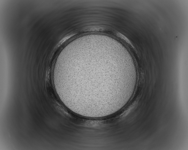 X0000083550778200703021650