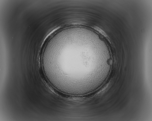 X0000083550782200703021650