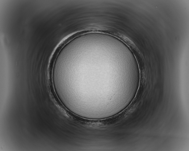 X0000083550784200703021650