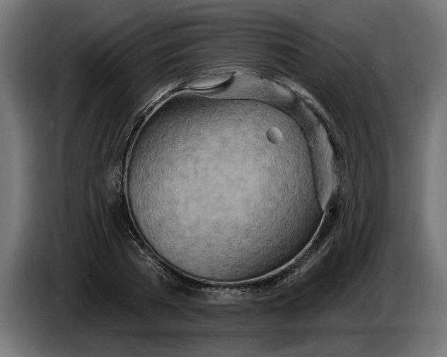 X0000083550785200703021650