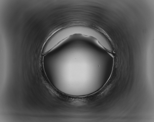 X0000083550786200703021650