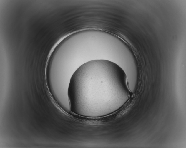 X0000083550788200703021649