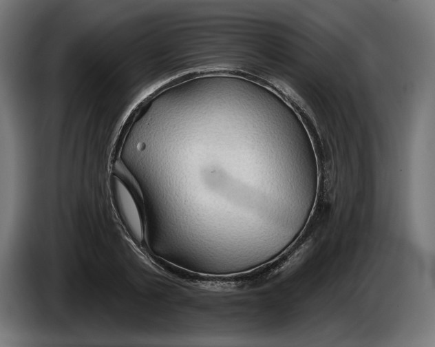 X0000083550789200703021649