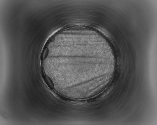 X0000083550790200703021649