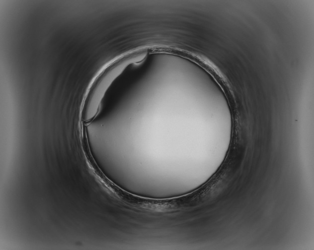 X0000083550791200703021649